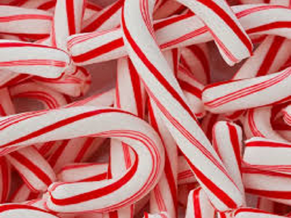 Candy Cane Type Fragrance Oil