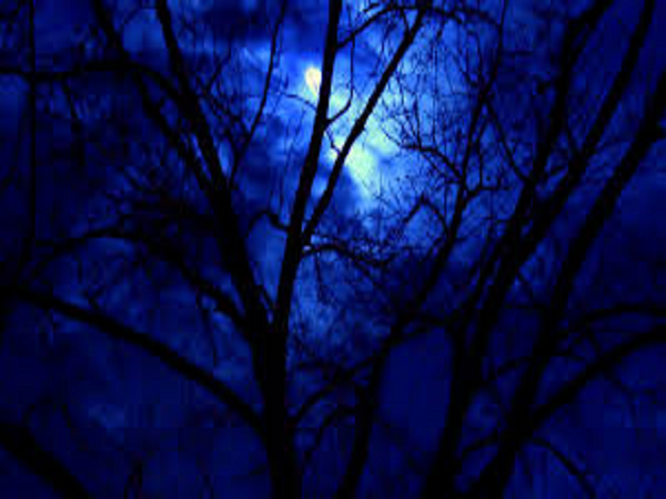 Moonlight Path by BBW Type Fragrance Oil