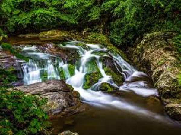 CLOSEOUT Mountain Spring Type Fragrance Oil