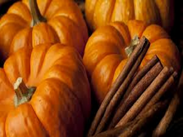 CLOSEOUT Pumpkin Spice Type Fragrance Oil