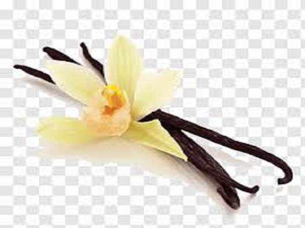 Vanilla Color Stabilizer
