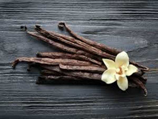 Vanilla Oak by Yankee Candle Type Fragrance Oil