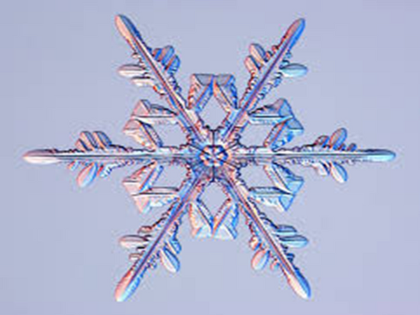 Vanilla Snowflake by BBW Type Fragrance Oil