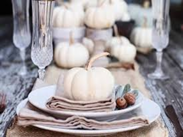 White Pumpkin & Amber Type Fragrance Oil