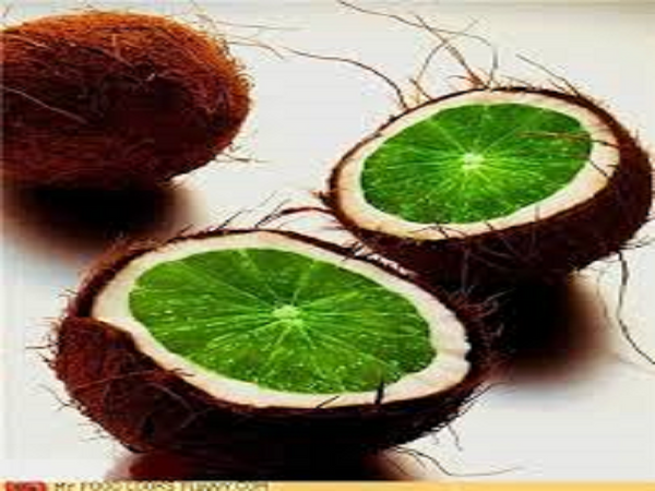 Coconut Lime Verbena by BBW Type Fragrance Oil