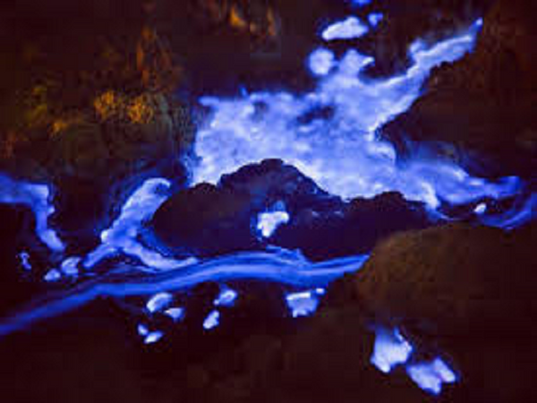 Blue Volcano Type Fragrance Oil