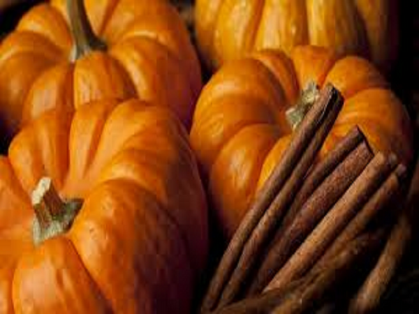 Pumpkin Spice Type Fragrance Oil