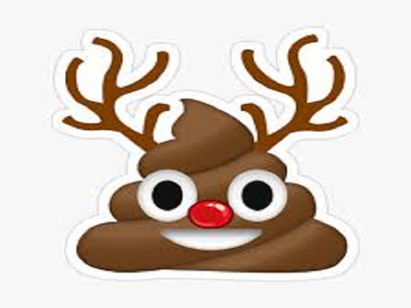 Reindeer Poop Type Fragrance Oil