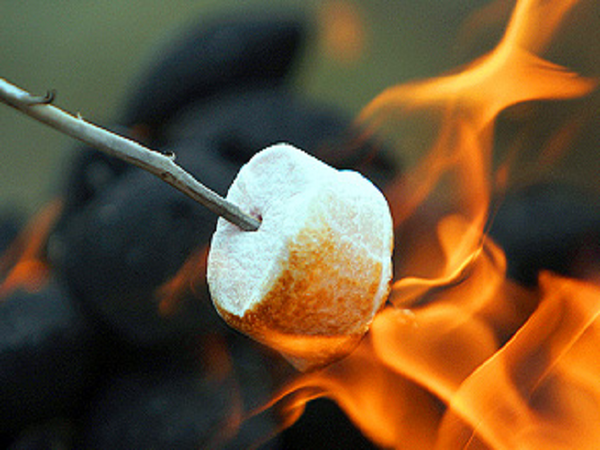 Toasted Marshmallow Type Fragrance Oil