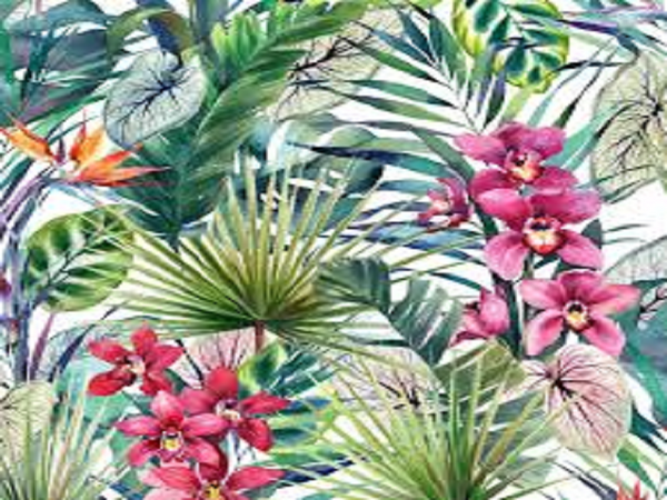 Tropical Elements Type Fragrance Oil